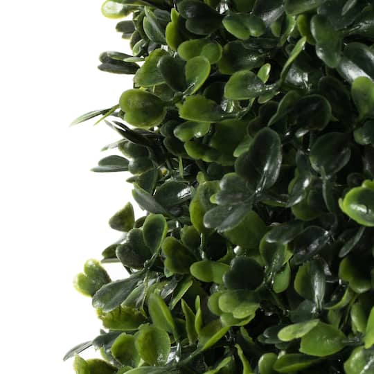 4ft. Potted Boxwood Cone